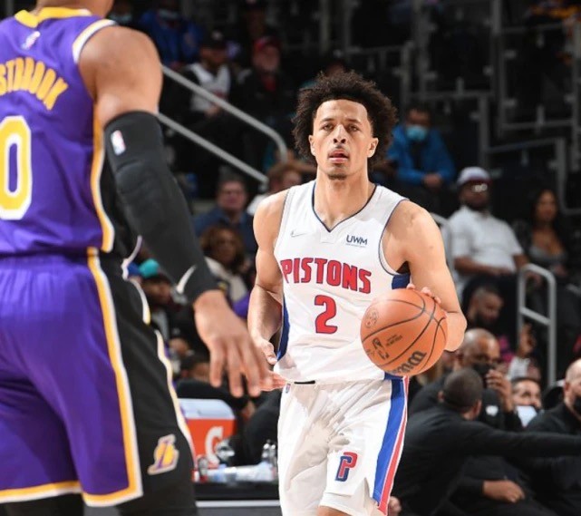 室内运动的 室内运动的